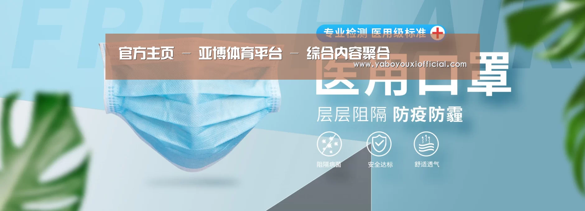 某某口罩防护用品有限公司