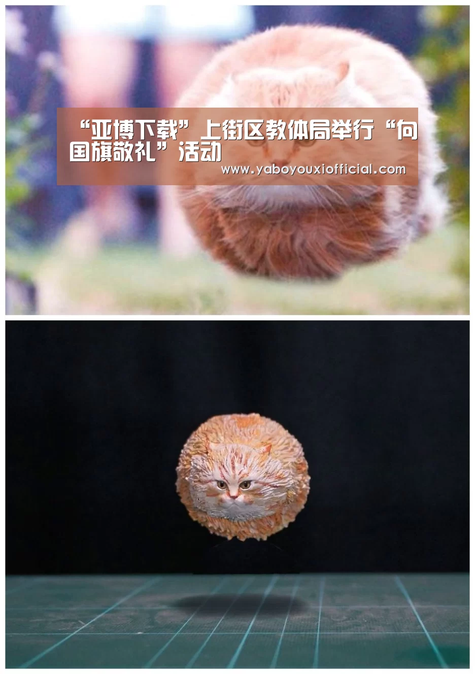 “亚博下载”上街区教体局举行“向国旗敬礼”活动(图2) 亚博快讯