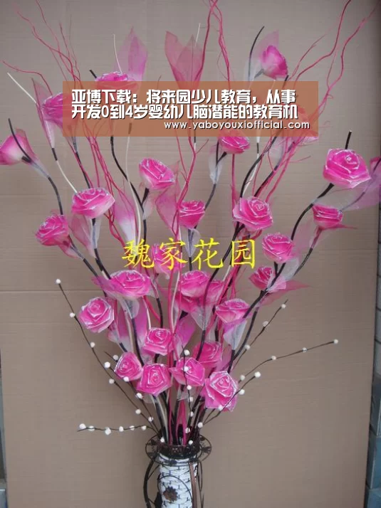 亚博下载:将来园少儿教育,从事开发0到4岁婴幼儿脑潜能的教育机构(图4) 亚博快讯