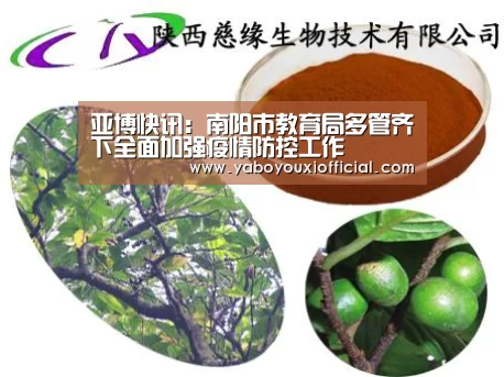 亚博快讯:南阳市教育局多管齐下全面加强疫情防控工作(图3) 亚博游戏