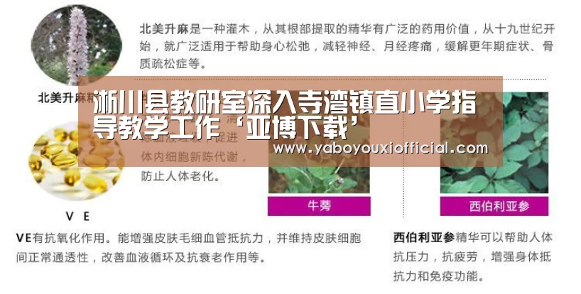 淅川县教研室深入寺湾镇直小学指导教学工作‘亚博下载’